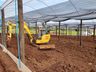 Empreendedor aposta na produção de hortifrutis no interior de Mondaí