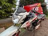 Colisão entre moto e cachorro deixa homem ferido na BR-163, em SMOeste