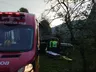 Ao tentar salvar neto, idosa é atingida por árvore no Oeste de SC