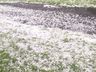 "Talvez terei que acionar o seguro agrícola" relatou agricultora de Palma Sola
