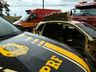 PRF apreende 54 kg de maconha escondidos em automóvel na BR-282