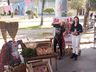 Arraiá da ONG Amigo Bicho supera expectativas em São Miguel do Oeste