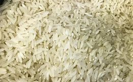 Conab compra 263,3 mil toneladas de arroz importado em leilão
