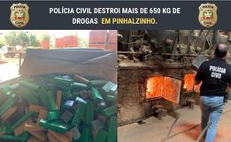 Polícia Civil destrói mais de 650 quilos de maconha em Pinhalzinho