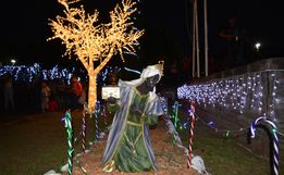 Santa Terezinha do Progresso comemora acendimento das luzes com show 