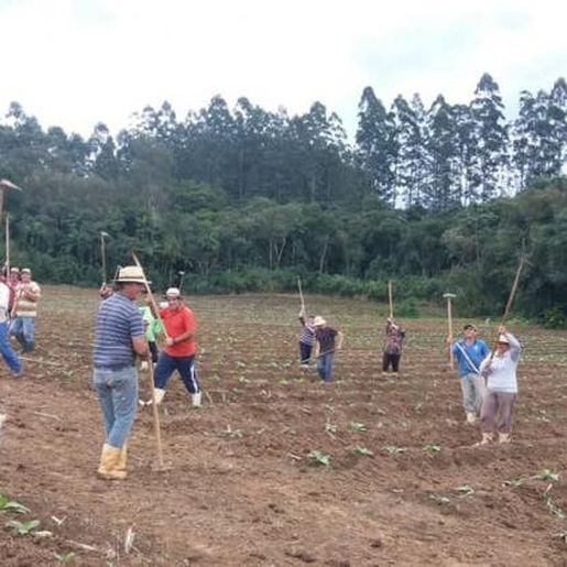 Vizinhos cuidam de lavoura após família contrair Covid-19 em Santa Catarina