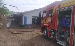 Incêndio atinge aviário e mata pintainhos no interior de Itapiranga