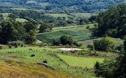 Lar Legal Rural completa um ano com mil processos de regularização no Oeste
