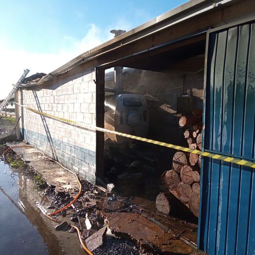 Aviário com 40 mil pintinhos é atingido por incêndio no interior de Descanso