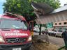 Viatura dos bombeiros desvia de cachorro e colide com ponto de táxi em São Lourenço 