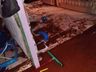 Casal com seis filhos precisa de ajuda após enxurrada invadir sua casa