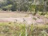 VÍDEO: utilização de cisternas ameniza impactos da estiagem em Palma Sola 