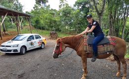 Empresário de São José do Cedro doa égua para sessões de equoterapia 