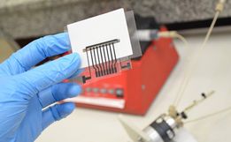 Vacina em testes pode revolucionar o combate ao Alzheimer