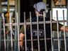 Polícia Civil realiza operação em comunidade de São Miguel do Oeste