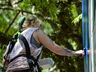 Artista pinta mural em homenagem aos 67 anos de São Miguel do Oeste 