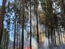 Incêndios florestais mobilizam bombeiros por mais de dez horas em SJCedro