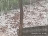 Chuva de granizo atinge interior de Campo Erê e São Bernardino 