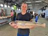 Feira do Peixe começa com previsão de venda de 5 toneladas em SMOeste 