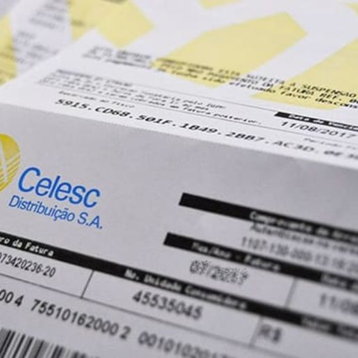 Projeto do Senado proíbe reajustes na conta de energia em 2021