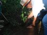 Alunos fazem visita ao Lago Municipal e participam de plantio de árvores em Cedro
