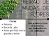 CAESP promove Feirão de Mudas em parceria com floricultura