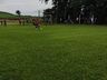 Corintians conquista o hexacampeonato em Cedro
