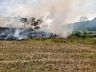 Incêndio atinge área de 100 mil metros quadrados