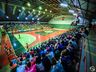 São Miguel Futsal perde em amistoso contra Pato Futsal