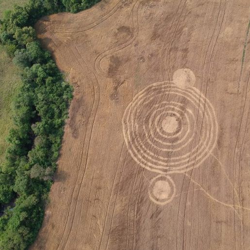 “Não tem ação humana”, diz ufólogo sobre marcas no trigo em SC