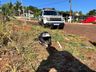 Após acidente em Descanso, Infraestrutura avalia instalação de lombada eletrônica