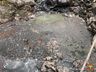 PMA constata poluição e mortandade de peixes em rio de Itapiranga