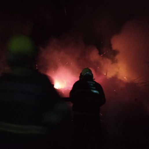Vídeo: Suínos morrem queimados após galpão ser atingido por incêndio no interior de Mondaí