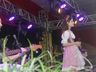 Festival da Canção Alemã Municipal e Regional reúne 26 calouros; fotos
