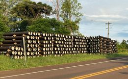 Licitação para instalação de nova adutora da Casan termina sem vencedor