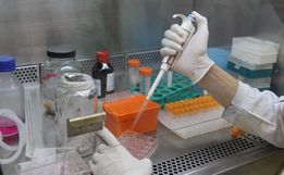Nova subvariante muito transmissível do Coronavírus preocupa especialistas