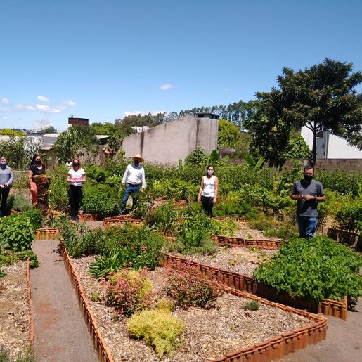 Profissionais identificam plantas do horto medicinal de São Miguel do Oeste