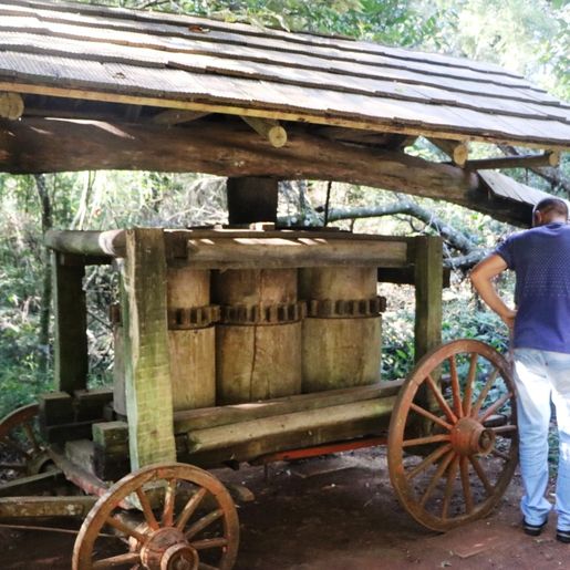 Parque Augusta Crestani tem novo zelador