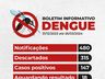São Miguel do Oeste entra em epidemia de dengue
