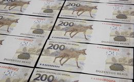 FOTOS: Banco Central lança nota de R$ 200, com imagem de um lobo-guará