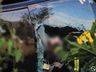 Saída de pista mobiliza bombeiros na BR-282 em São Miguel do Oeste