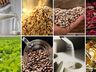 Seca vai deixar alimentos ainda mais caros; entenda