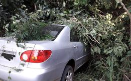 Motorista de automóvel sofre ferimentos leves em saída de pista