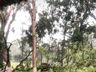 Temporal causa estragos em São Miguel do Oeste; fotos