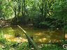 CASAN de Iporã constata contaminação no Rio Pirapó
