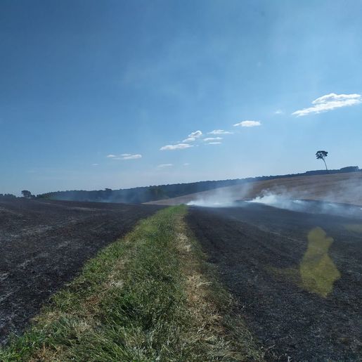 Incêndio em vegetação destrói cerca de 60 hectares de lavoura