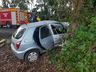 Motorista fica presa nas ferragens ao colisão com árvore na BR-282, em Maravilha