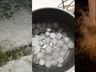Chapecó entra em situação de emergência após chuva de granizo 