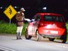 Condutor de caminhão de leite é preso por embriaguez na SC-163