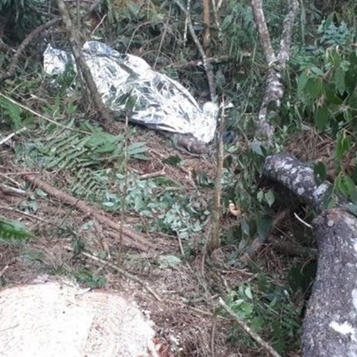 Homem morre após ser atingido por árvore no Oeste